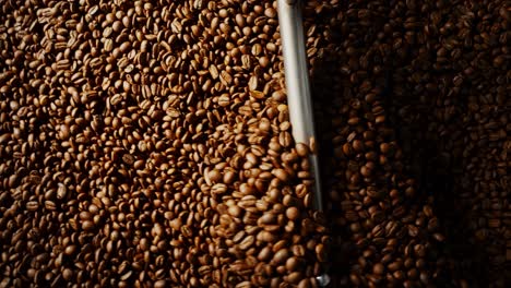 granos de café tostados