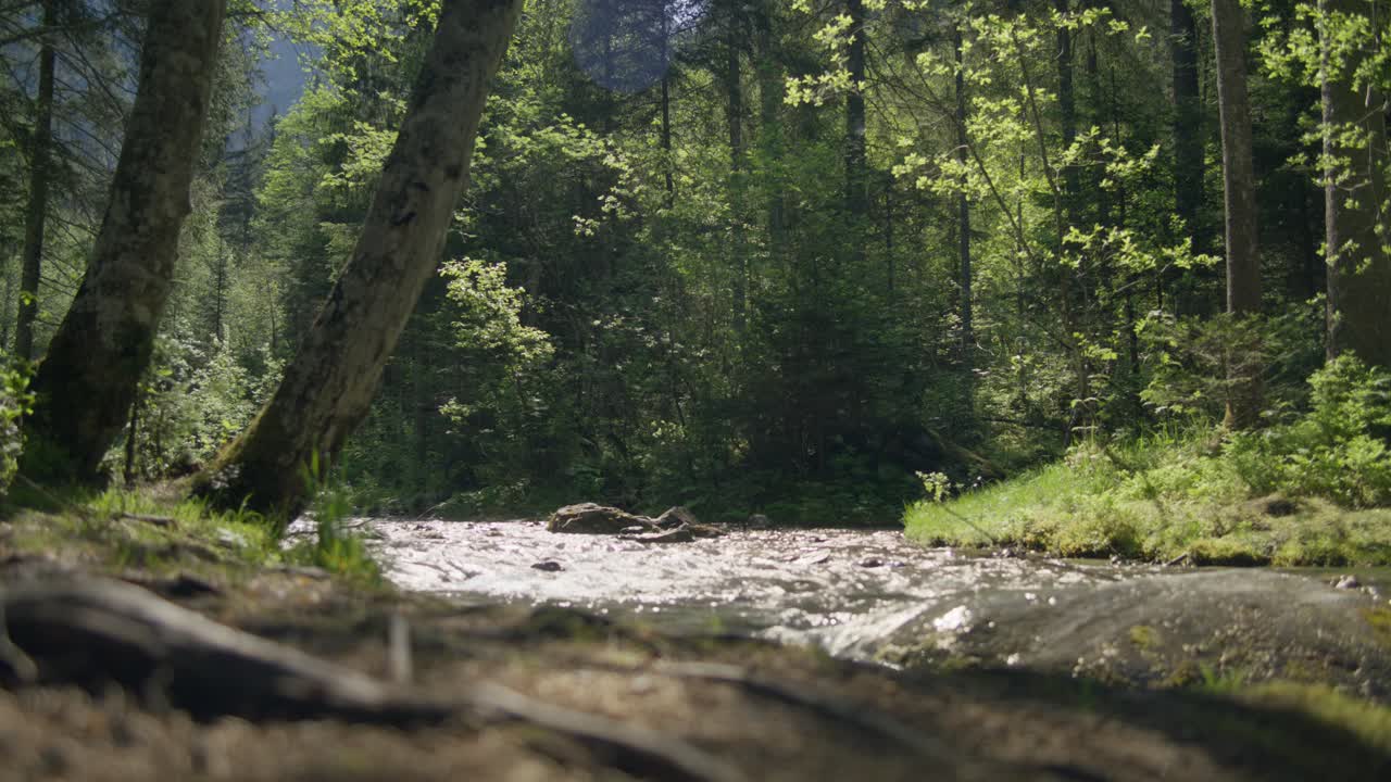 bosque cinematográfico perfecto con un arroyo que fluye | grindelwald suiza cueva en el cañón del glaciar, europa, 4k