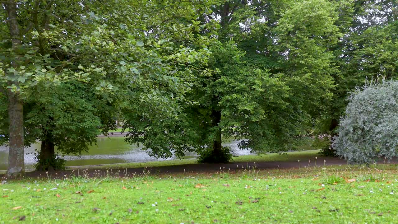 A drone smoothly rises above dense green trees in a park, revealing a wide landscape under overcast skies. Natural daylight, steady upward camera movement