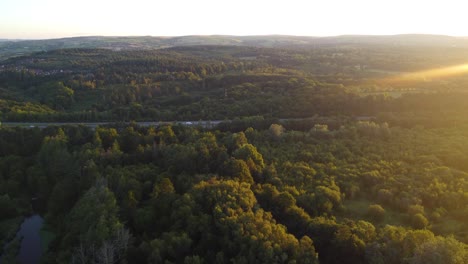 autopista con automóviles rodeada de un denso paisaje forestal - imágenes aéreas de drones al amanecer