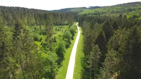 Straße-Im-Wald-Verdun-Frankreich-Drohnenansicht