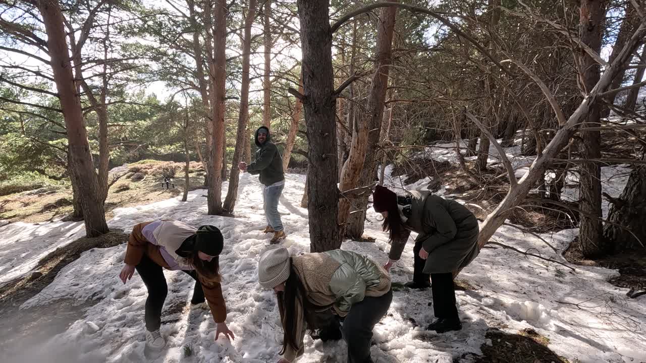 Group of friends enjoying a snowball fight in the forest