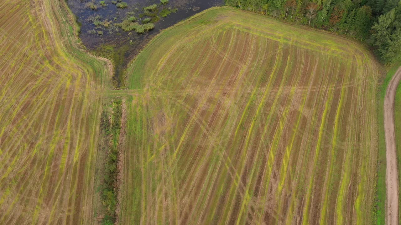 por encima de tierras de cultivo letonas, estanques y campos boscosos, vista aérea de pájaro