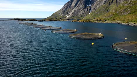 imágenes aéreas de granjas de pesca de salmón en noruega