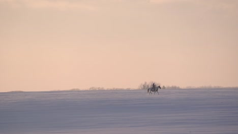 Amplia-Toma-Panorámica-De-Una-Mujer-Montando-Un-Caballo-En-Un-Campo-Nevado-Durante-La-Puesta-De-Sol