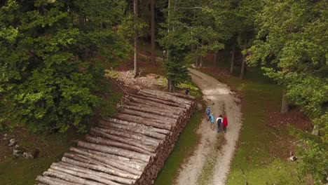 Wood-store-viewed-from-the-sky-by-drone:-swiss-alps-fir-trees-forest