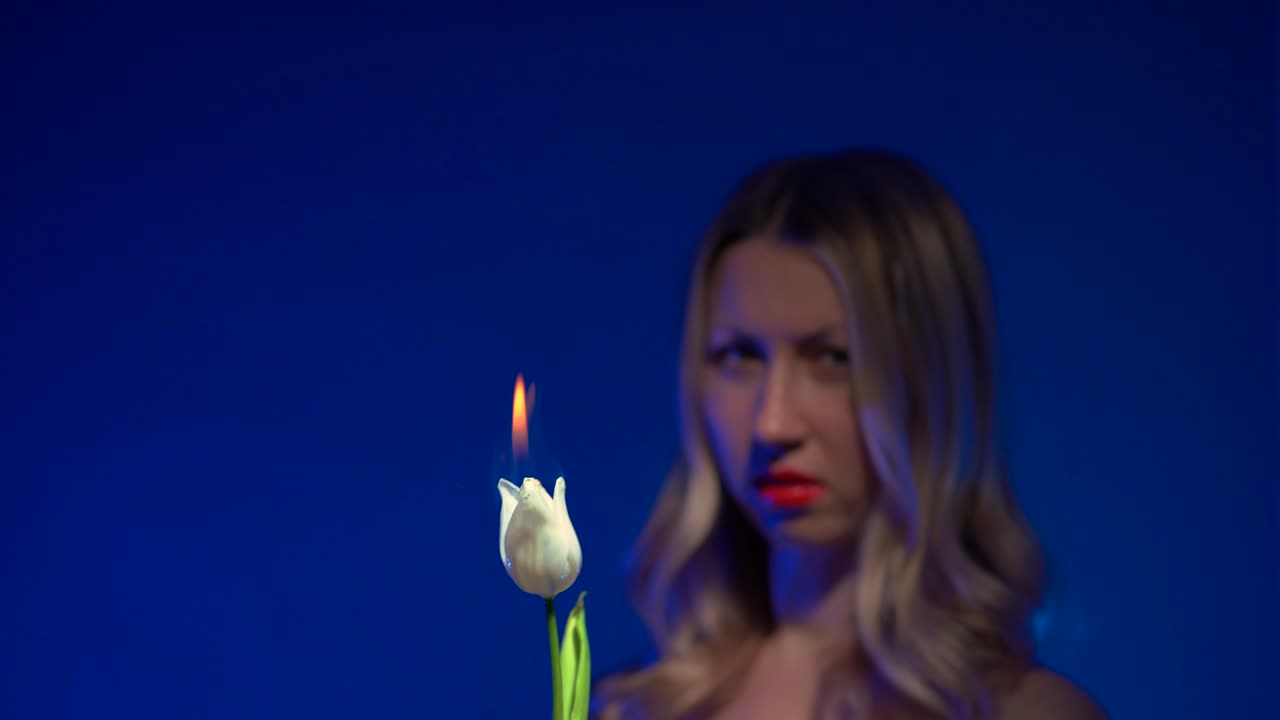 Dolly shot of out of focus young beautiful blonde woman with luscious red lips holding a burning white tulip flower near her face on a vivid dark blue background - 4K