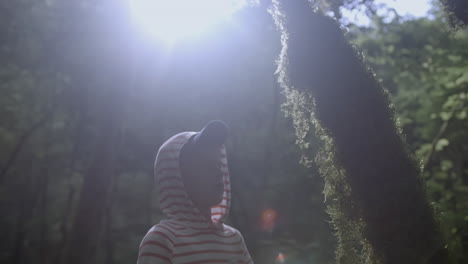 child exploring a mossy tree in a forest