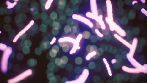 microorganisms illuminate the darkness in an abstract display of colors