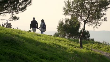 Toma-En-Cámara-Lenta-De-Un-Hombre-Y-Una-Mujer-Tomados-De-La-Mano-Caminando-En-Una-Naturaleza-Verde-Pacífica