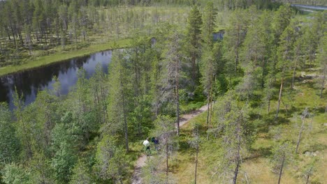 Group-of-friends-hiking-in-nature-and-walking-trough-forest-and-joying-in-fresh-air-in-Norway