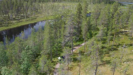 grupo de amigos caminando en la naturaleza y caminando por el bosque y disfrutando del aire fresco en noruega