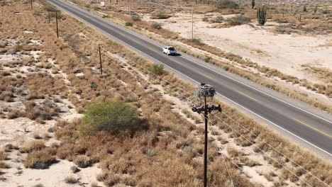 Toma-Aérea-Circular-Del-Nido-De-Un-Halcón-En-El-Desierto