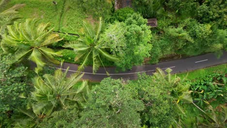 people with dog pets walking on the country road in tropical village