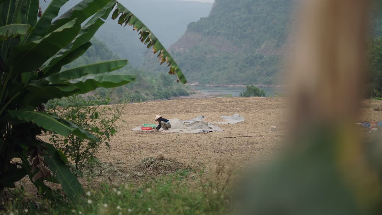 Rural Landscape and Farming Scene