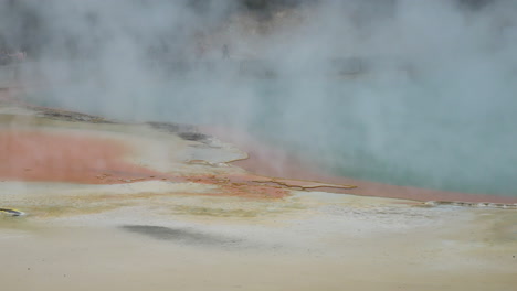 panning shot of boiling champagner pool in volcanic active zone,wai-o-tapu