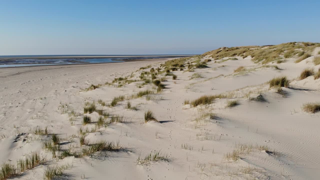 Aerial, rising, drone shot over sand dunes, at a beach, blue sky, on a sunny day, on Langeoog island, in North Germany