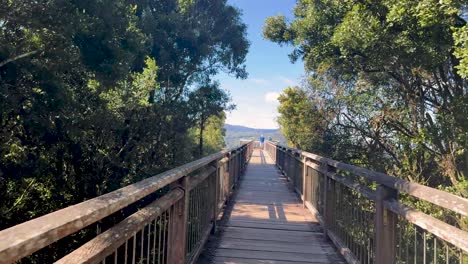 a steady camera moves forward on a wooden bridge through dense green forest, under bright daylight, revealing distant mountain scenery and clear blue sky