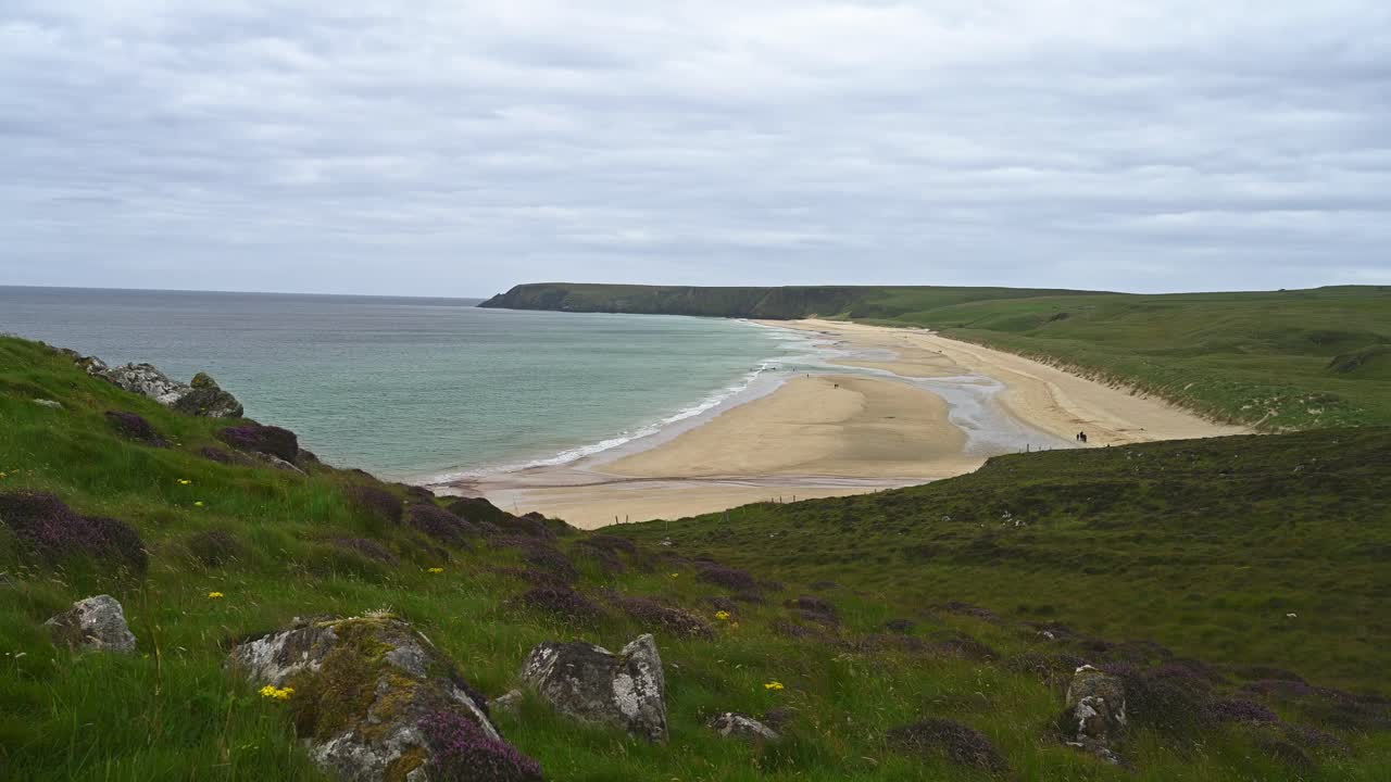 Purple heather with Tolsta Beach calm sea and cliff on cloudy windy day