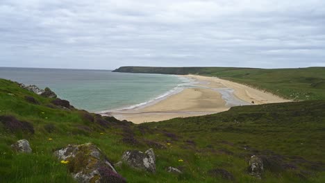 purple heather with tolsta beach calm sea and cliff on cloudy windy day