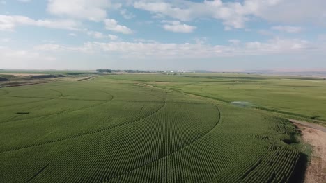 Hermosa-Vista-Panorámica-Aérea-De-Los-Campos-De-Maíz-Con-Riego-De-Pivote-En-La-Cuenca-De-Columbia-Del-Estado-De-Washington-Oriental-A-Fines-Del-Verano