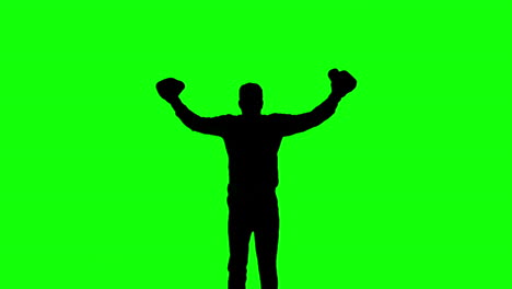 silhouette of man jumping and boxing on green screen