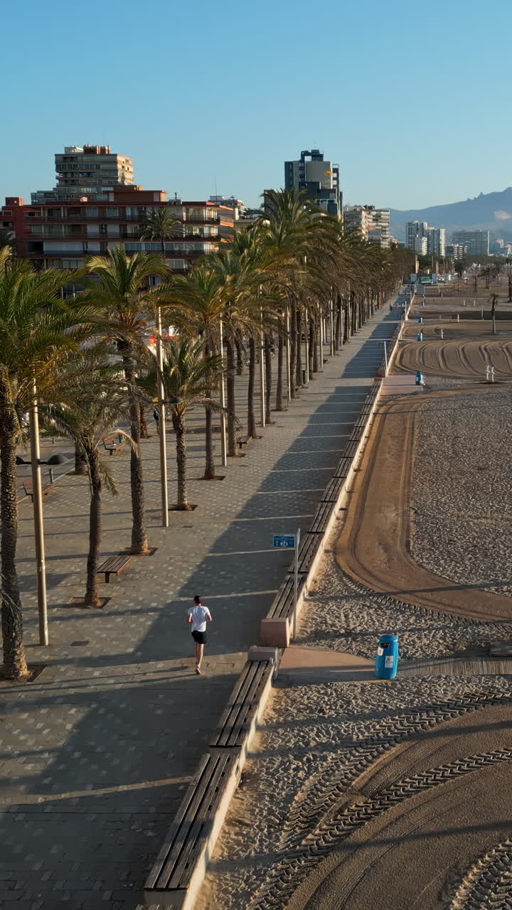 Vista aerea da drone di palme su una passeggiata vicino alla spiaggia ed edifici lungo la costa della città. Verticale