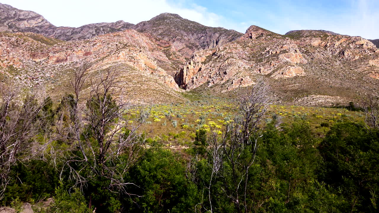 Aerial between trees with views of Langerg mountain and ancient rock formations