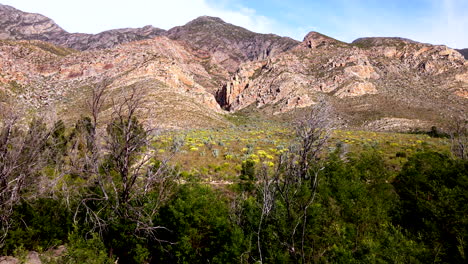 aerial between trees with views of langerg mountain and ancient rock formations