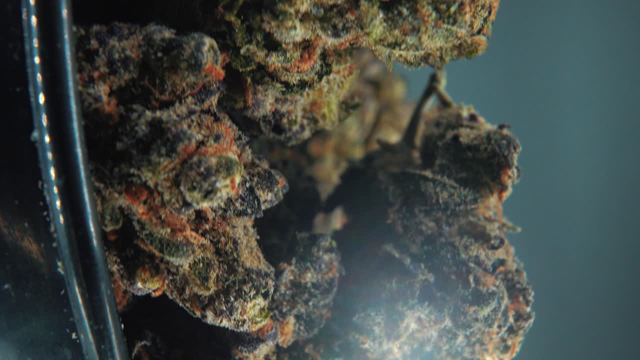 A vertical macro cinematic detailed shot of a cannabis plant, hybrid strains, Indica and sativa ,marijuana flower, on a rotating stand, black shiny bawl, slow motion, 4K video, studio lighting