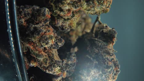 a vertical macro cinematic detailed shot of a cannabis plant, hybrid strains, indica and sativa ,marijuana flower, on a rotating stand, black shiny bawl, slow motion, 4k video, studio lighting