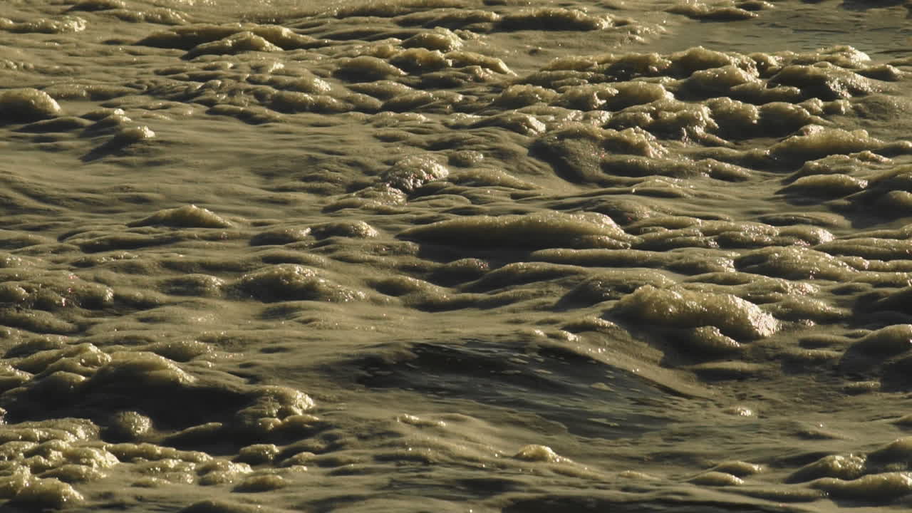 황금빛 해가 지는 동안 물 위에 떠다니는 조용한 바다 거품 - 정적