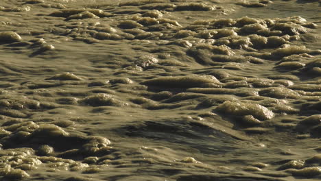 Tranquil-Sea-Foam-Floating-On-Water-During-Golden-Sunset---Static-Shot