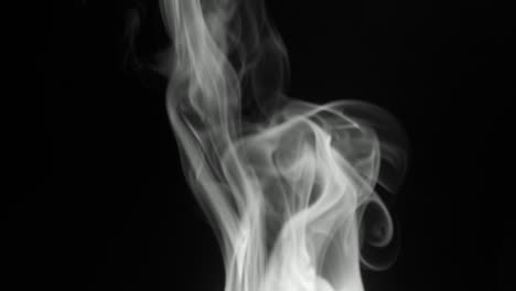 thin trickle of gray smoke slowly rising graceful twists upward. black and white cigar smoke blowing from bottom to top. close-up, isolated on black background