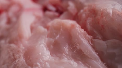 close-up of raw fish fillet