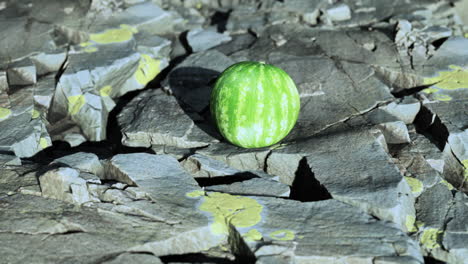 bayas de frutas de sandía en piedras rocosas