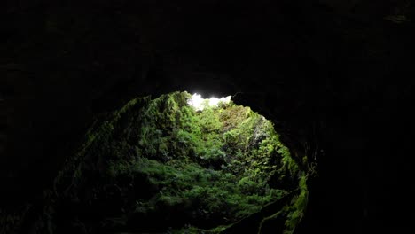 looking up inside the ancient lava tube in algar do carvão, island of terceira, azores portugal