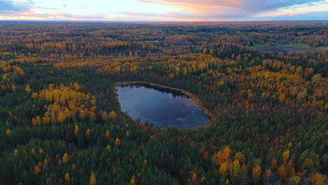 aerial shot approaching a small pond or lake in the middle of an endless wilderness forest in sipoonkorpi national park in finland