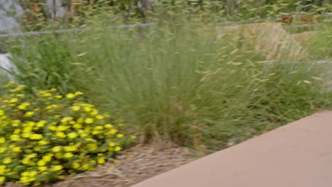 gimbal-shot-of-flower-pots-in-town-square