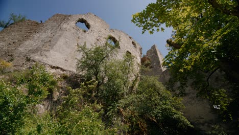 looking up to the very old long abandoned ruin falkenstein with lots of trees growing at the bottom of the walls in austria