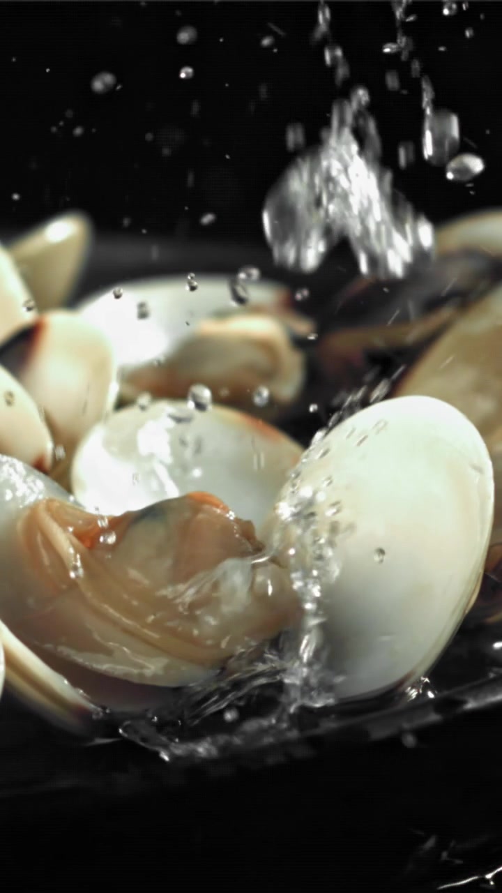 Close-up of Fresh Clams with Water Drops Splashing
