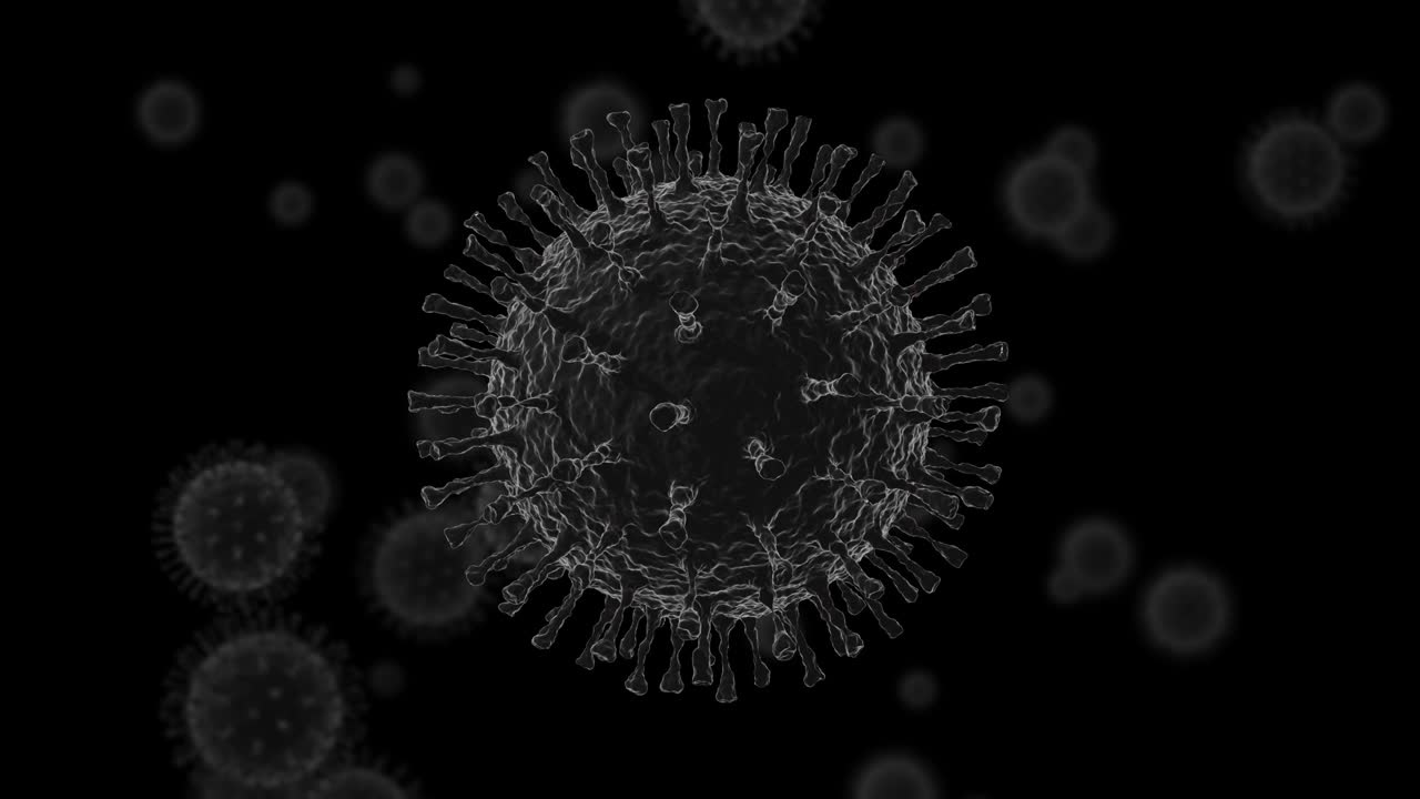 bucle sin costuras de coronavirus bajo microscopio electrónico, cov, virus 2019-ncov. casos de cepa de gripe peligrosa como un concepto de riesgo para la salud médica. infección de brote mortal. pandemia, epidemia, endémica. render 3d