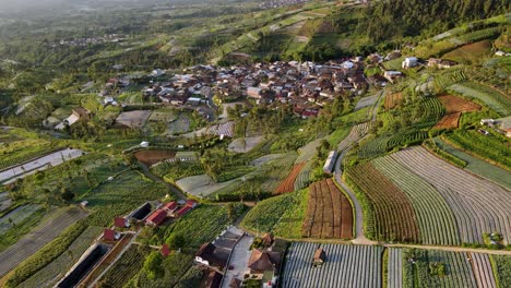 Vista-Aérea-Del-Pueblo-Rodeado-De-Plantaciones