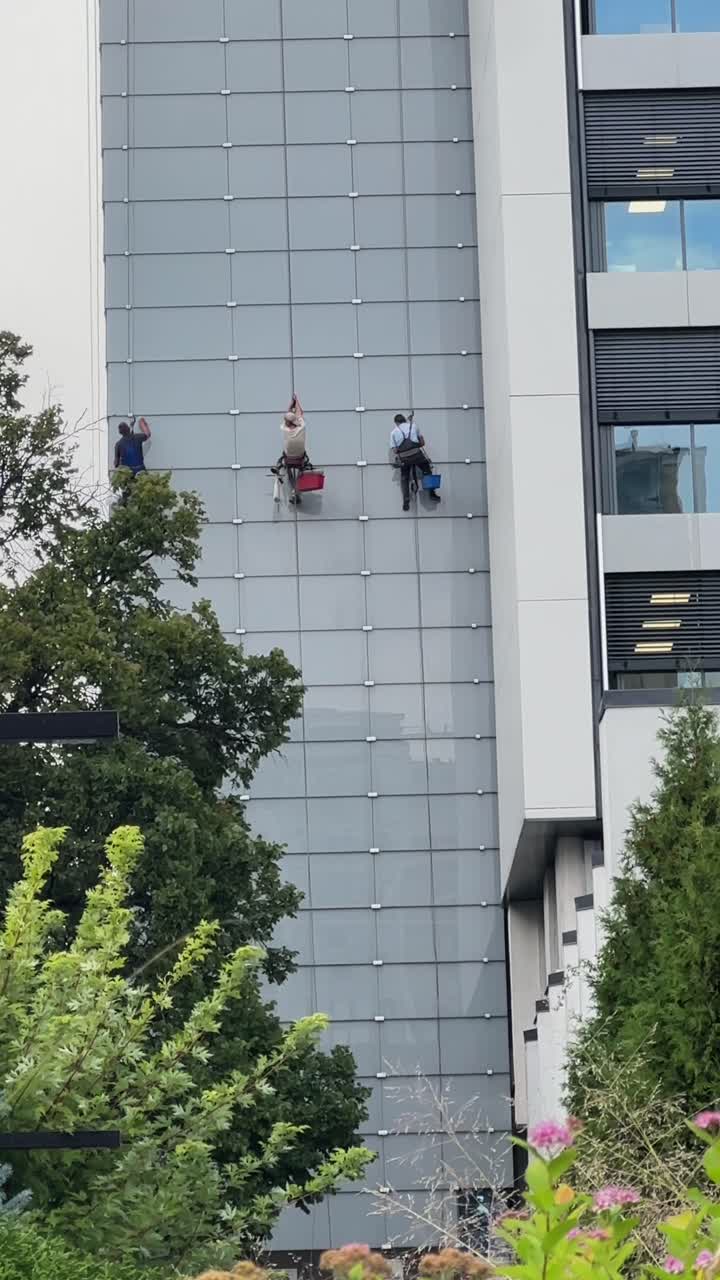 limpiadores de ventanas en edificios de gran altura