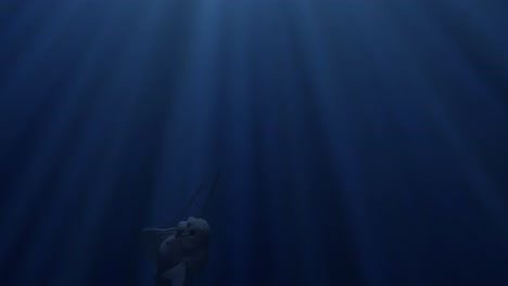 un pez en el mar azul profundo