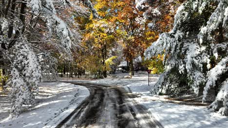 Pull-back-and-rising-down-and-over-a-street-the-morning-after-Halloween