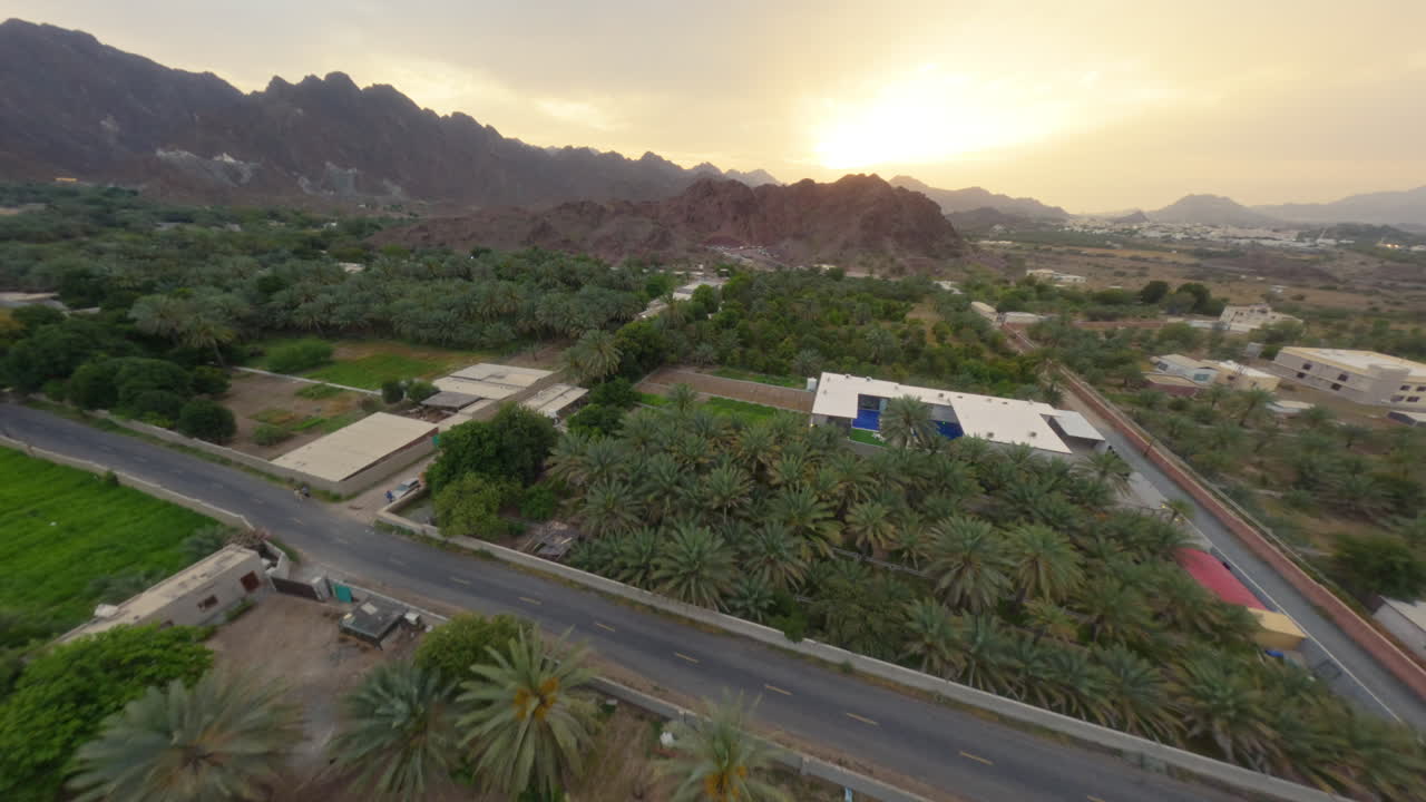 FPV drone flies over residential area and green fields near Hatta Desert, passing palm trees, gardens, and houses toward the mountains at sunset