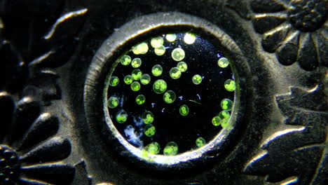 Green Duckweed Floating in a Circular Frame