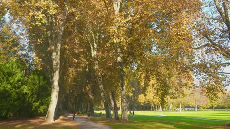 autumn cycling in the park