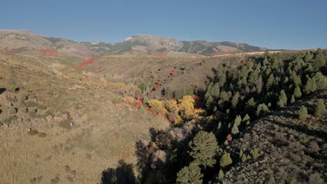 Fall-in-Idaho-with-trees-and-the-colors-through-a-valley-in-the-hills